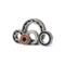 Nachi Bearing מפיץ אספקת עמוק Groove Ball Bearing 6201 ללבוש התנגדות נושאות