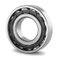 סין באיכות גבוהה גלילי רולר Bearing NU311