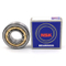 NU311 NU313 NU315 NU317 NU319 גלילי רולר Bearing